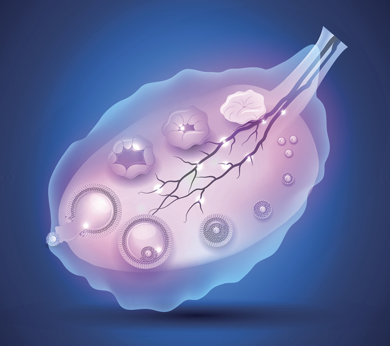 上海公立三代试管婴儿医院有哪些？
